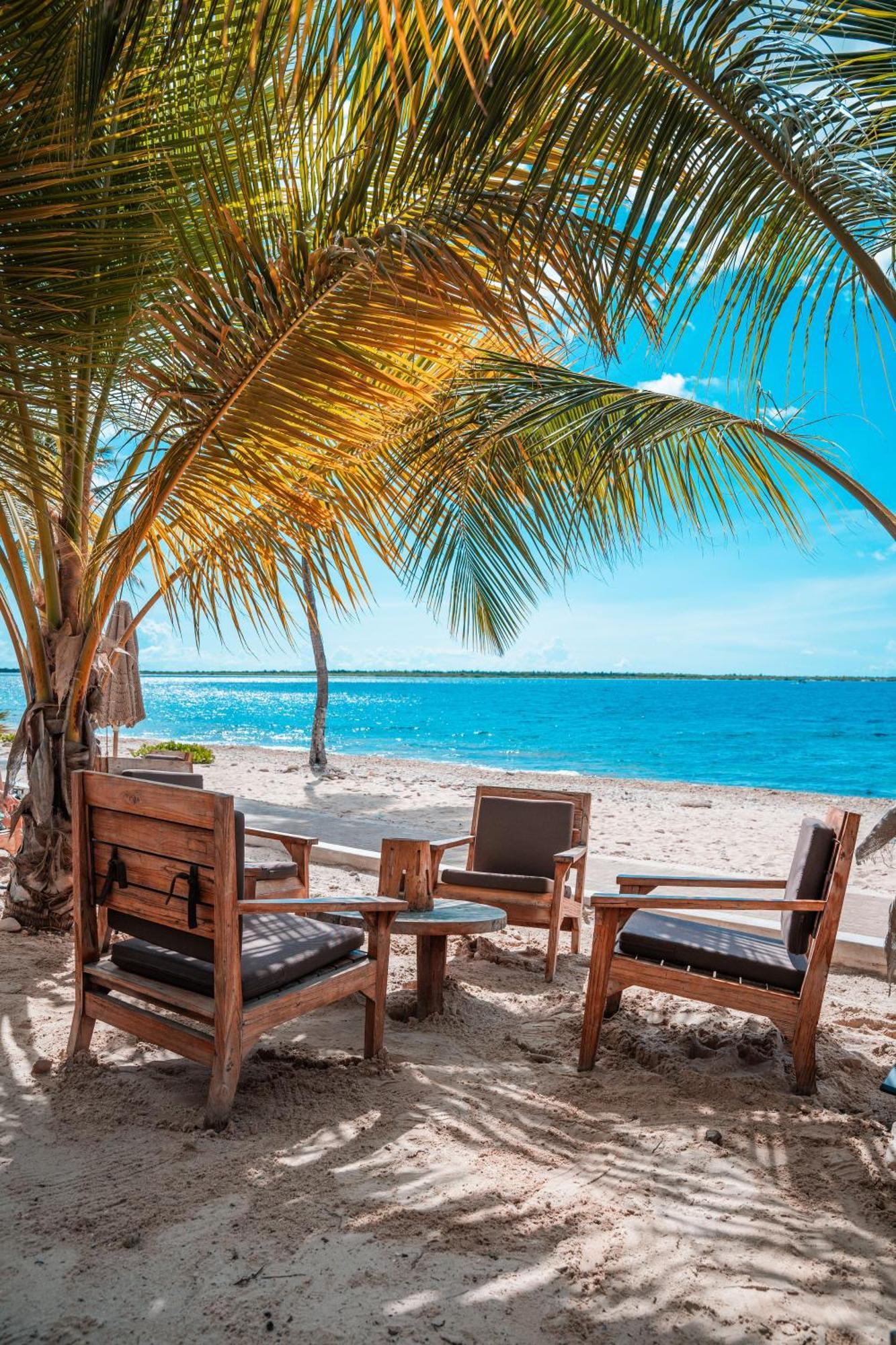 Chogogo Dive & Beach Resort Bonaire Kralendijk  Exterior foto